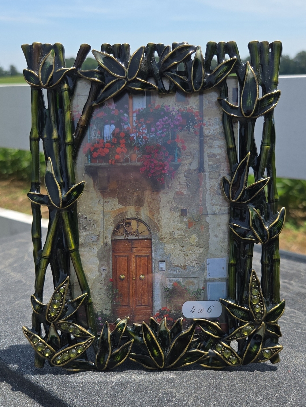4x6 Frame enameled green bamboo stalks adorned with sparkling crystals